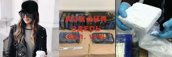 ALPHA PVP Остров