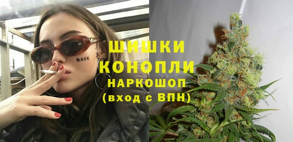 ALPHA PVP Остров