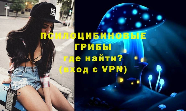 ALPHA PVP Остров