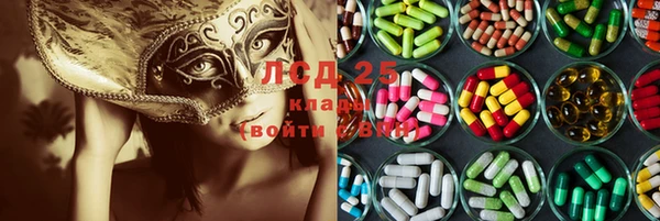 ALPHA PVP Остров