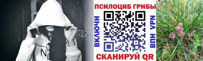 Псилоцибиновые грибы MAGIC MUSHROOMS  hydra как зайти  Курган 