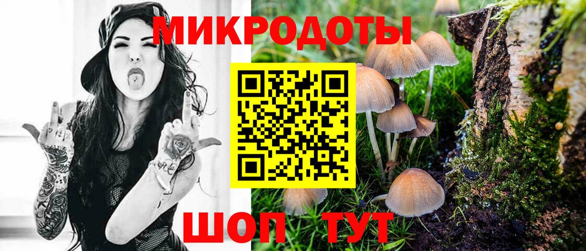 Псилоцибиновые грибы Magic Shrooms Курган