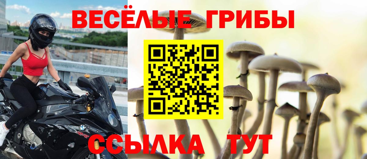 Галлюциногенные грибы GOLDEN TEACHER  Галлюциногенные грибы прущие грибы  Курган 