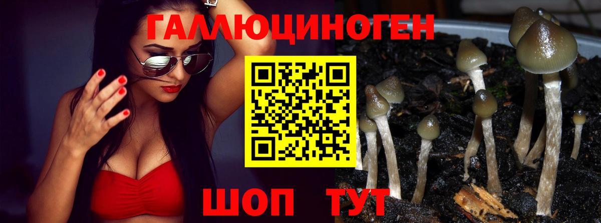 Псилоцибиновые грибы прущие грибы Курган