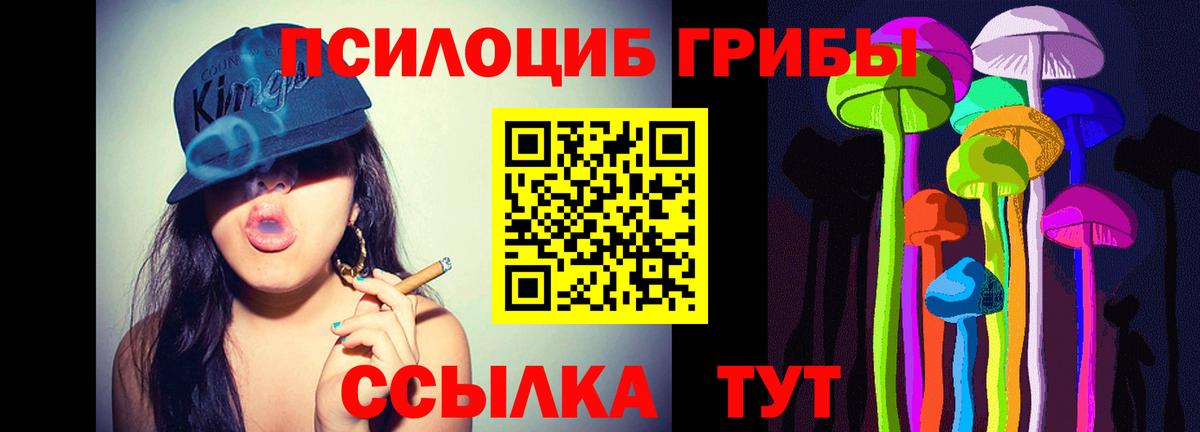 Курган  Псилоцибиновые грибы прущие грибы  Вход с VPN 