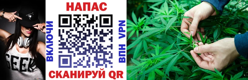 Шишки марихуана White Widow  что такое   Курган 
